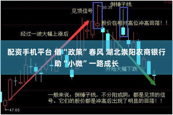 配资手机平台 借“政策”春风 湖北崇阳农商银行助“小微”一路成长