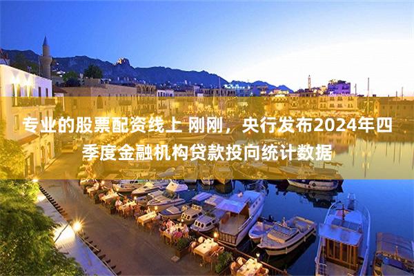 专业的股票配资线上 刚刚，央行发布2024年四季度金融机构贷款投向统计数据