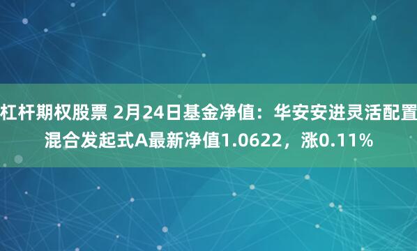 杠杆期权股票 2月24日基金净值：华安安进灵活配置混合发起式A最新净值1.0622，涨0.11%