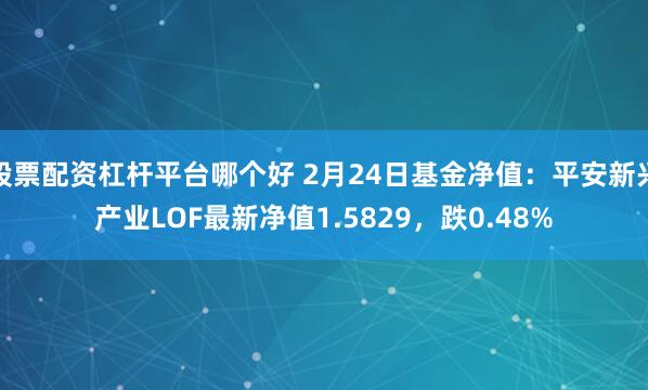 股票配资杠杆平台哪个好 2月24日基金净值：平安新兴产业LOF最新净值1.5829，跌0.48%