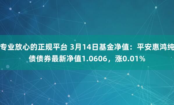 专业放心的正规平台 3月14日基金净值：平安惠鸿纯债债券最新净值1.0606，涨0.01%